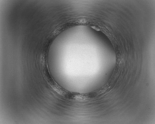 X0000072490568200608111605