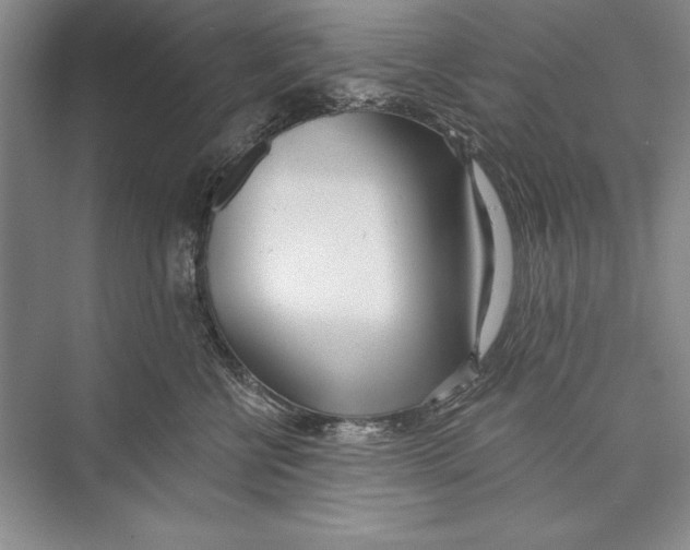 X0000072490570200608111605