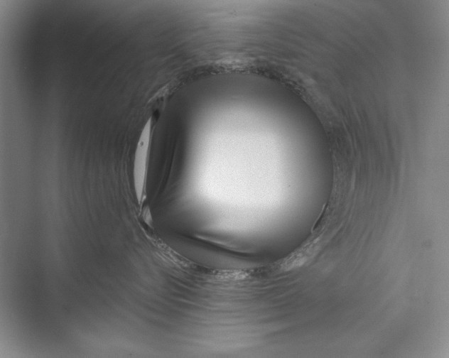 X0000072490576200608111605