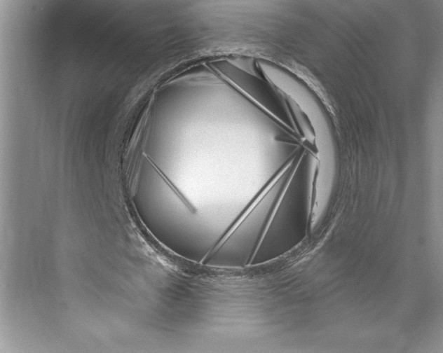 X0000072490577200608111604