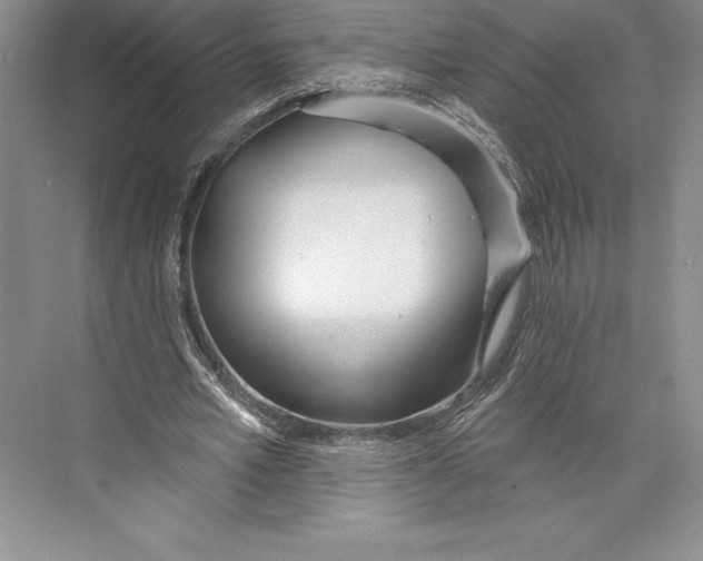 X0000072490581200608111604