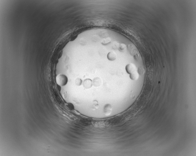 X0000072490587200608111604