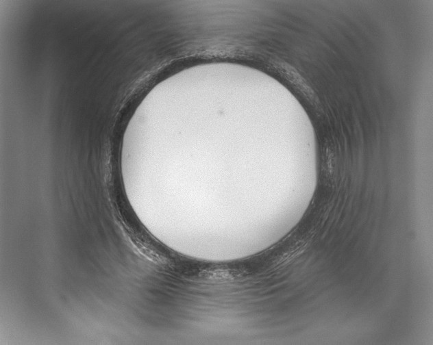 X0000072490588200608111604