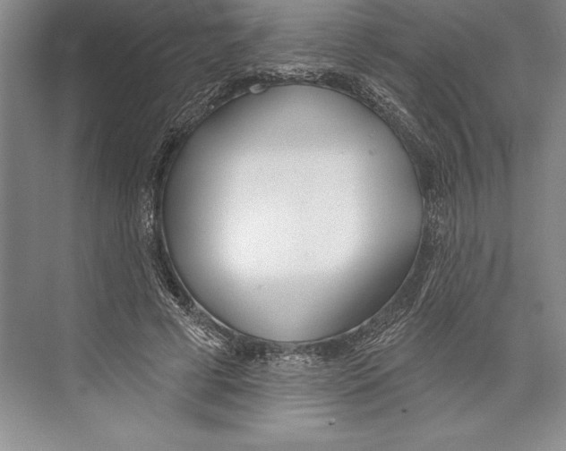 X0000072490593200608111604