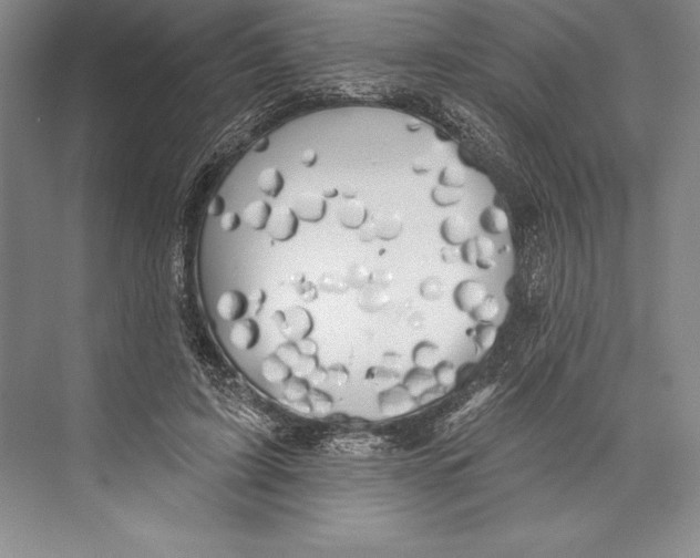 X0000072490595200608111604