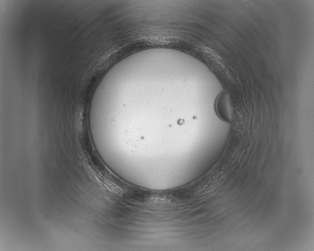 X0000072490596200608111604