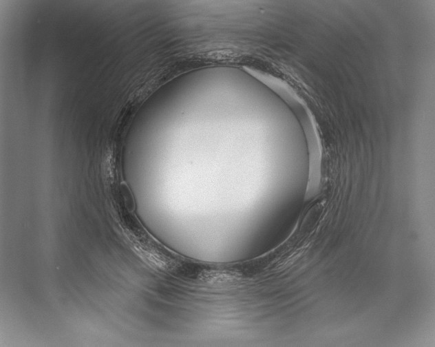 X0000072490597200608111604