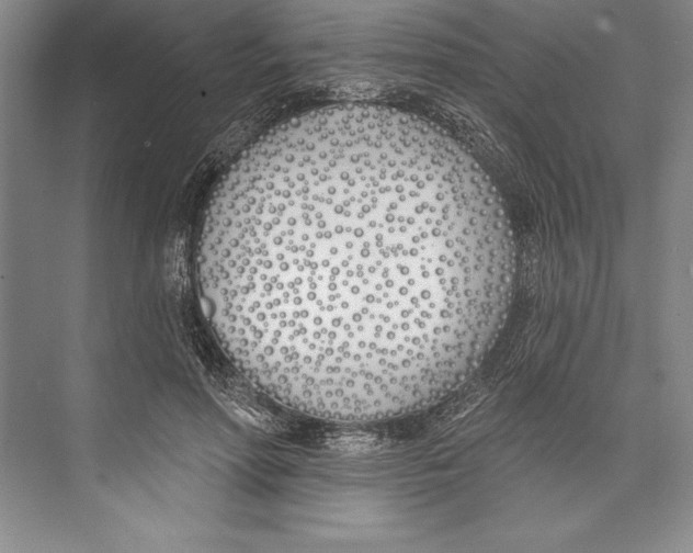 X0000072490598200608111604