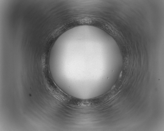 X0000072490600200608111604