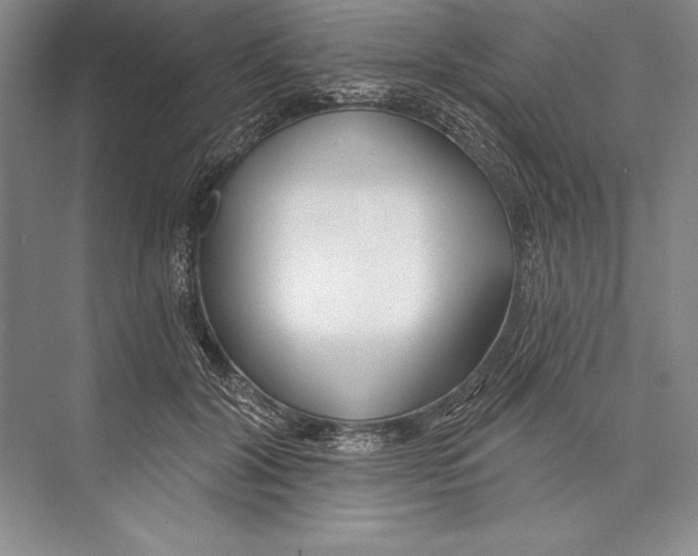 X0000072490604200608111604