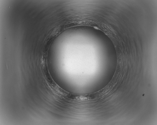 X0000072490607200608111604