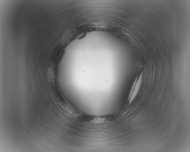 X0000072490609200608111604