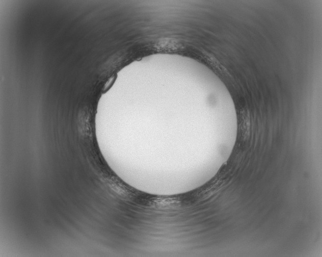 X0000072490619200608111604