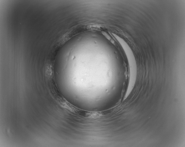 X0000072490621200608111603