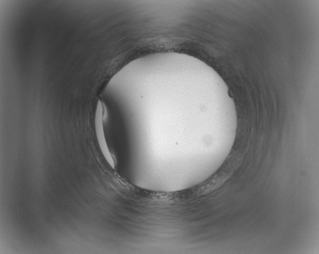 X0000072490624200608111603