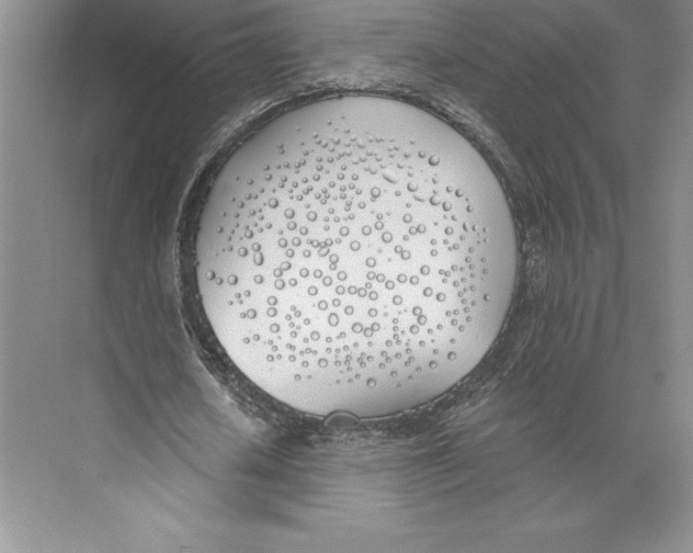 X0000072490626200608111603