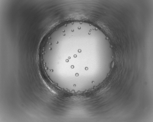 X0000072490630200608111603