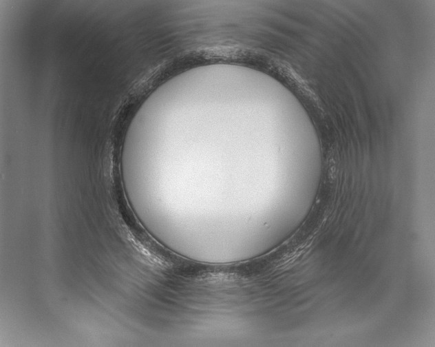 X0000072490637200608111603