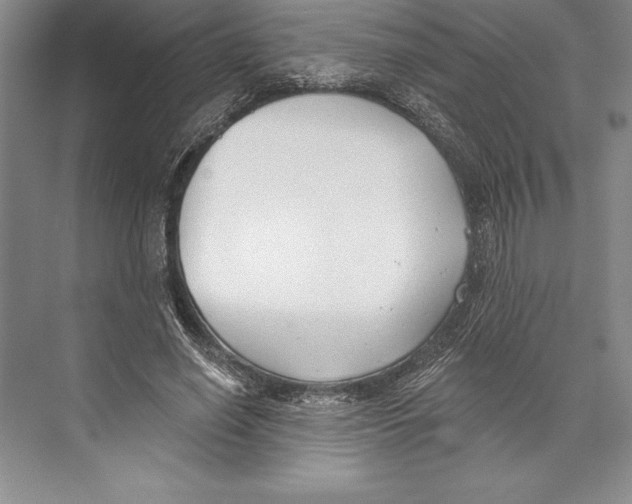 X0000072490638200608111603