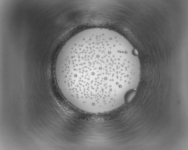 X0000072490640200608111603