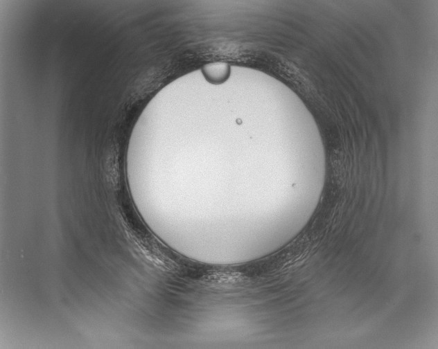 X0000072490642200608111603