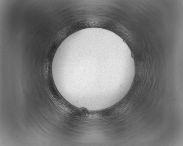 X0000072490645200608111603