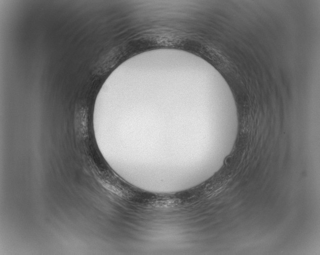 X0000072490646200608111603