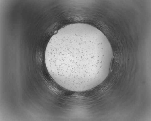 X0000072490648200608111603