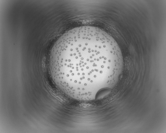 X0000072490650200608111603