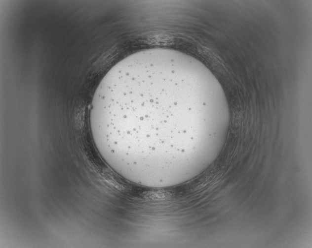 X0000072490652200608111603