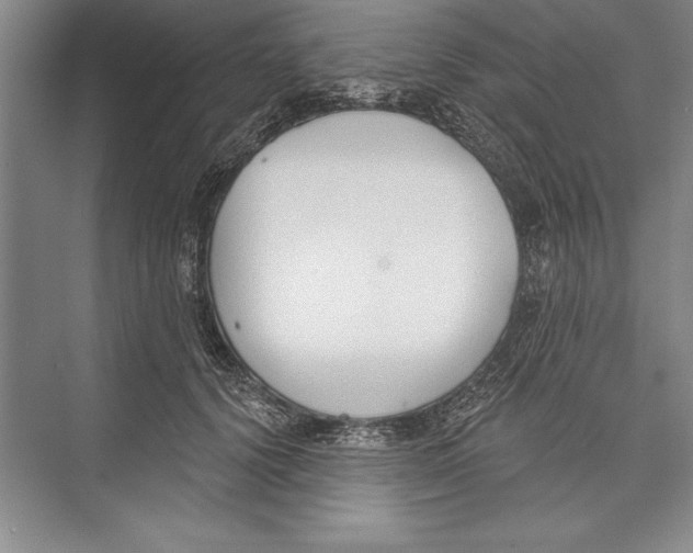 X0000072490656200608111603