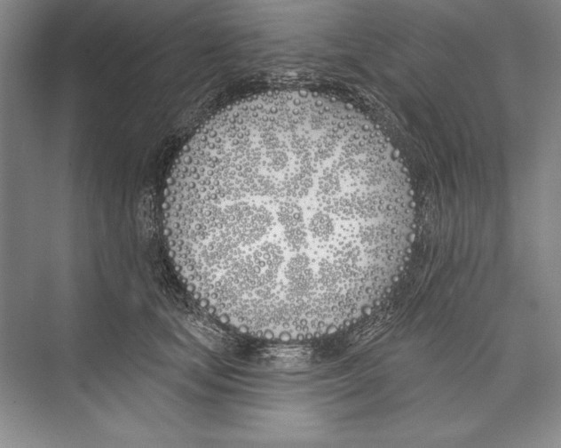 X0000072490659200608111603