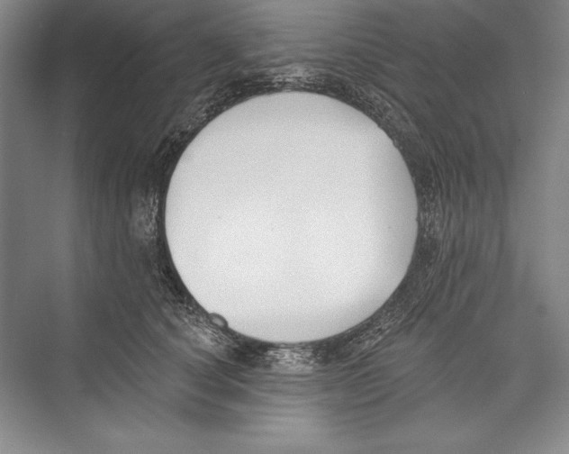 X0000072490660200608111603