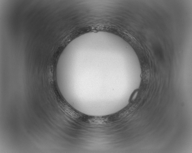 X0000072490661200608111603