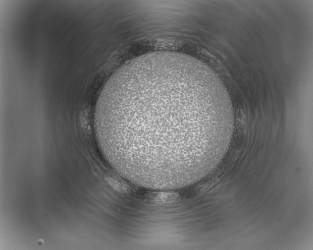 X0000072490663200608111603