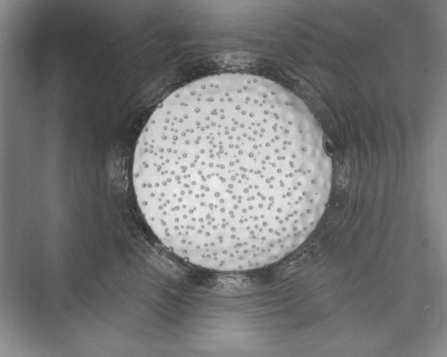 X0000072490666200608111603