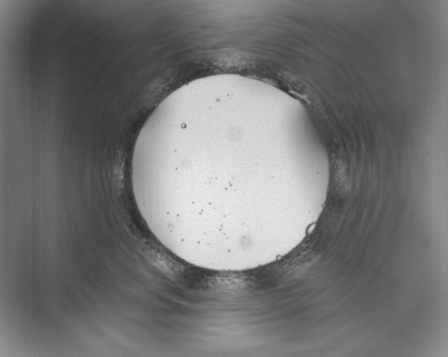 X0000072490668200608111603