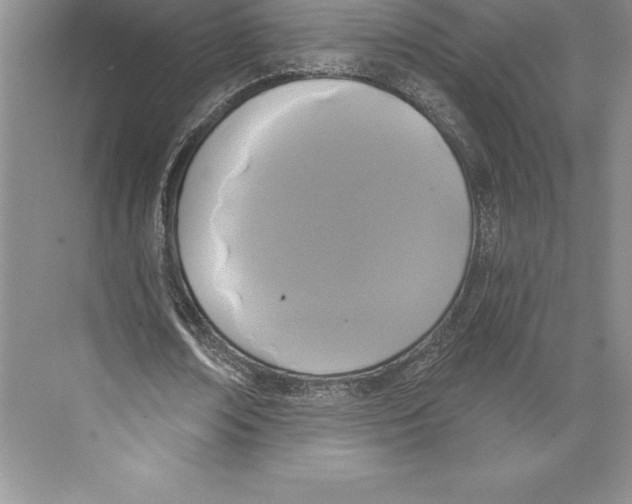 X0000072490674200608111603