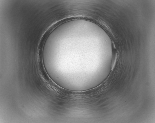 X0000072490676200608111603