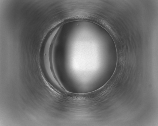 X0000072490677200608111603