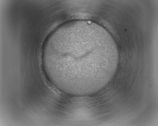 X0000072490679200608111603