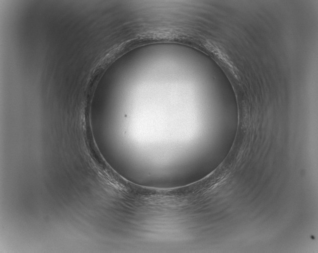 X0000072490681200608111602