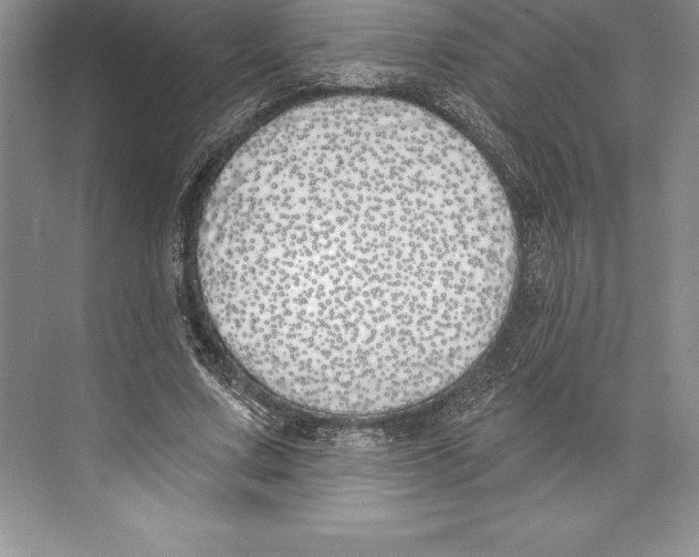 X0000072490683200608111602