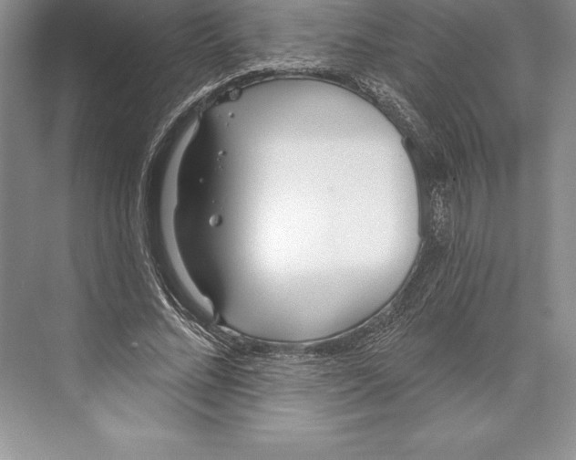 X0000072490684200608111602