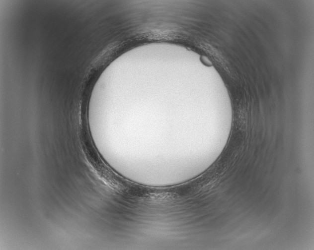 X0000072490686200608111602