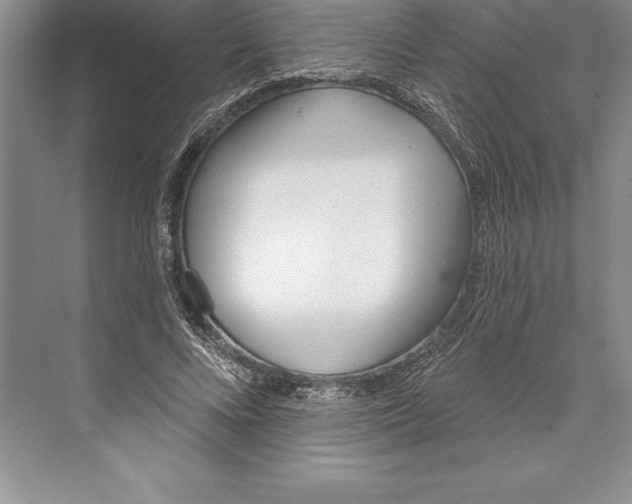 X0000072490688200608111602