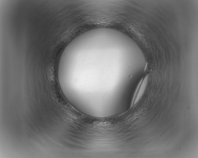 X0000072490689200608111602