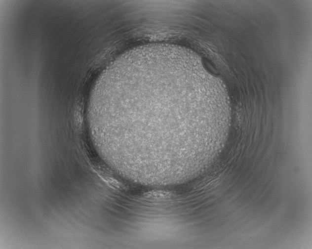 X0000072490691200608111602