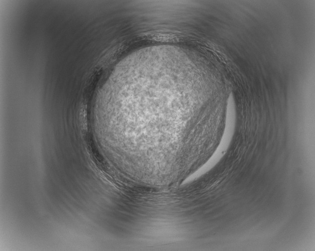 X0000072490696200608111602