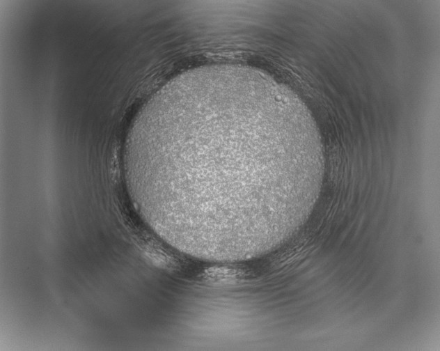 X0000072490699200608111602